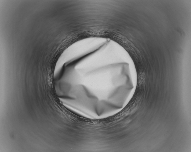 X0000111181202200907221041