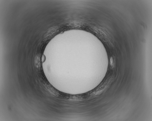 X0000111181203200907221041