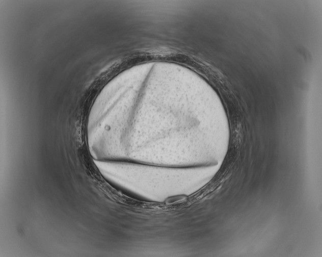 X0000111181205200907221041