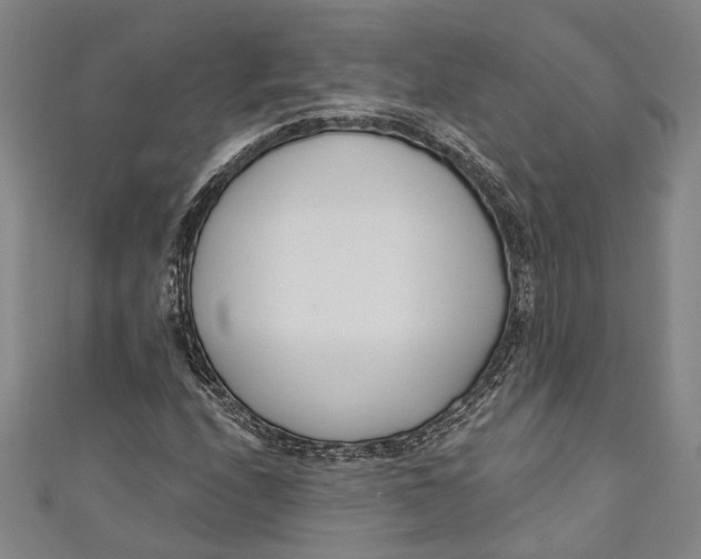 X0000111181208200907221041