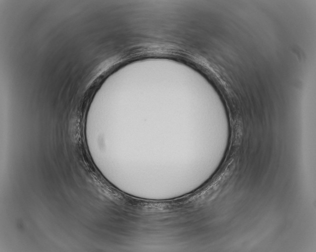 X0000111181211200907221041