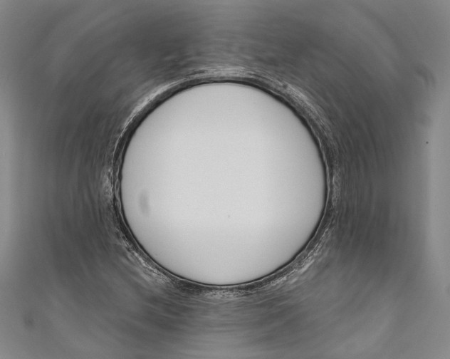 X0000111181212200907221041