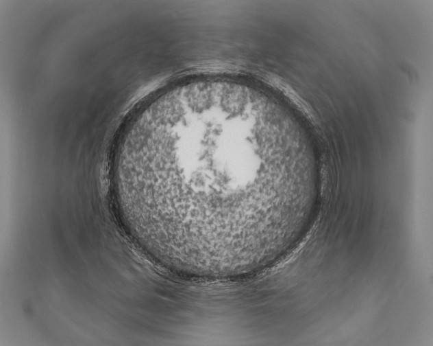 X0000111181213200907221041