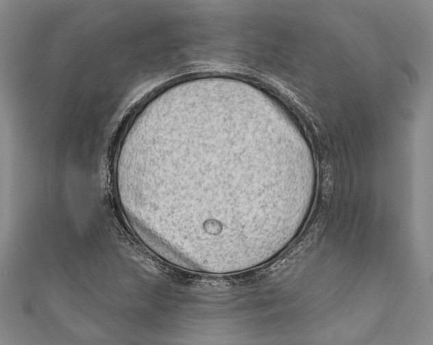 X0000111181215200907221041