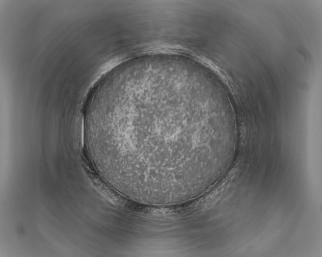 X0000111181219200907221041