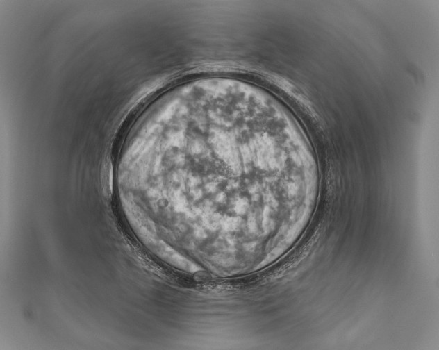 X0000111181221200907221041