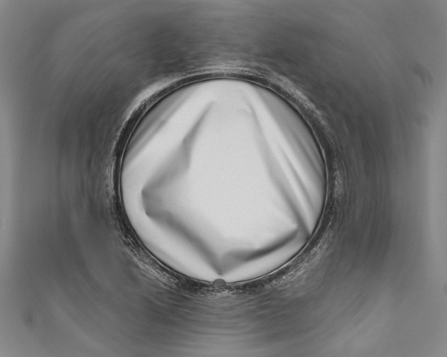 X0000111181222200907221042