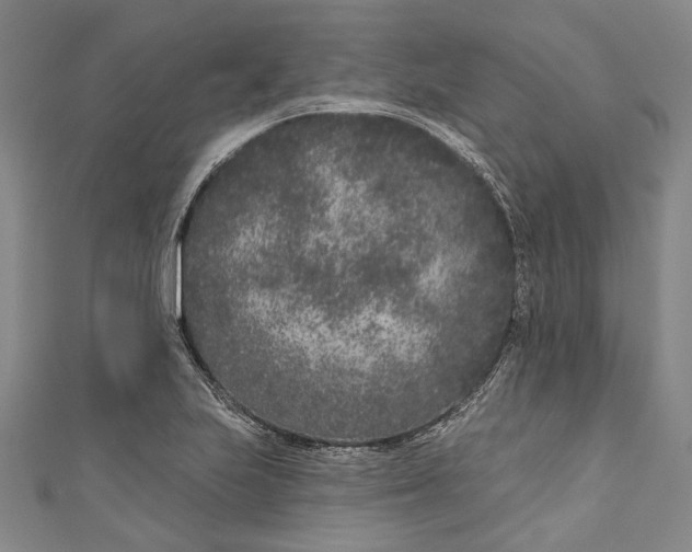 X0000111181223200907221042