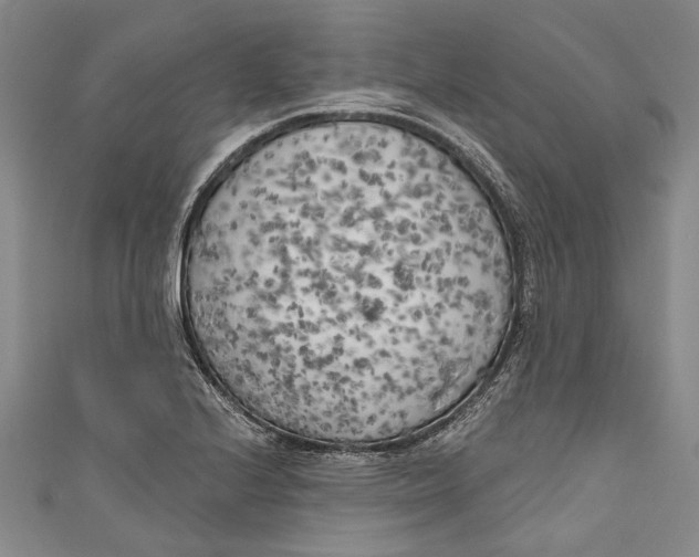 X0000111181224200907221042