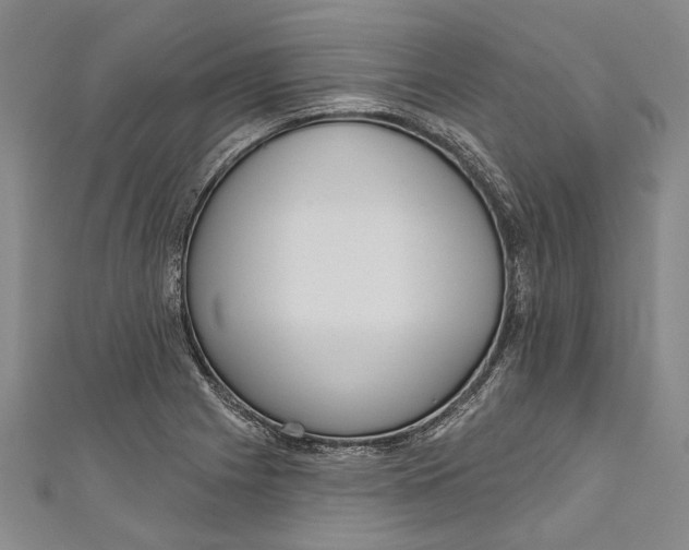 X0000111181225200907221042