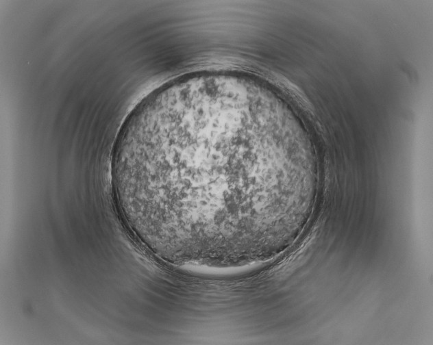 X0000111181226200907221042