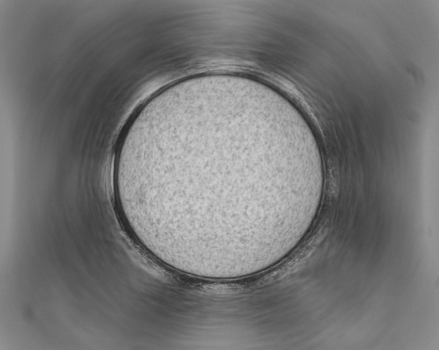 X0000111181227200907221042