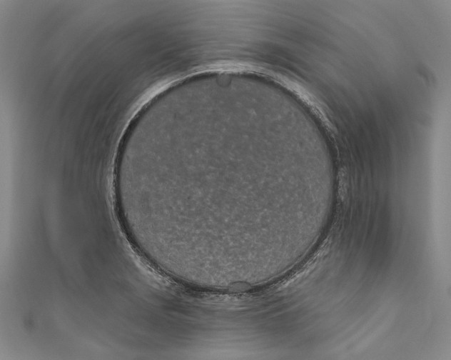 X0000111181229200907221042