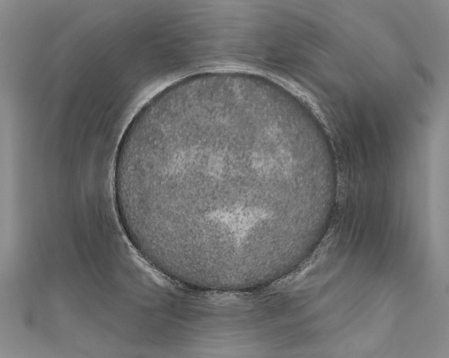 X0000111181231200907221042