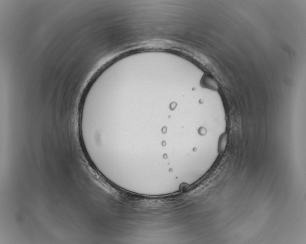 X0000111181232200907221042