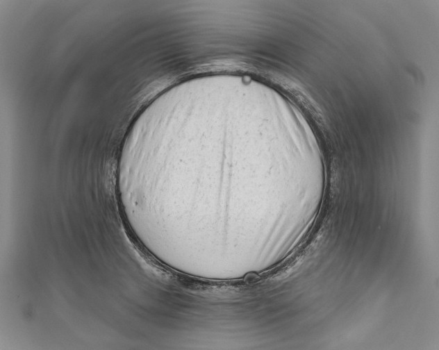 X0000111181233200907221042