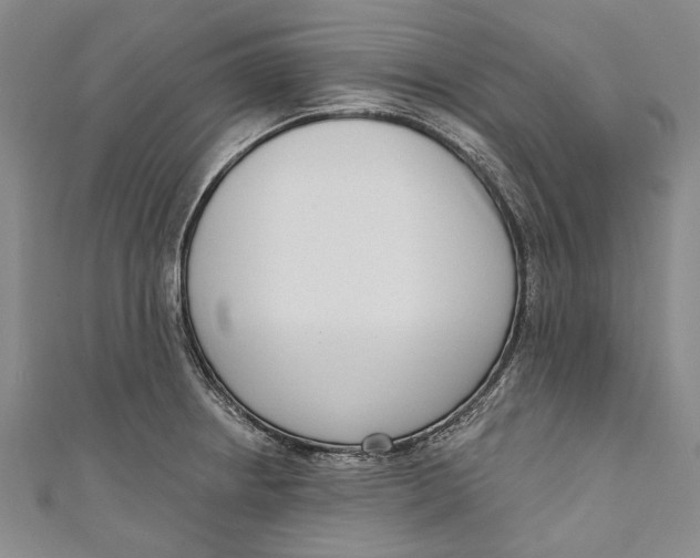 X0000111181234200907221042