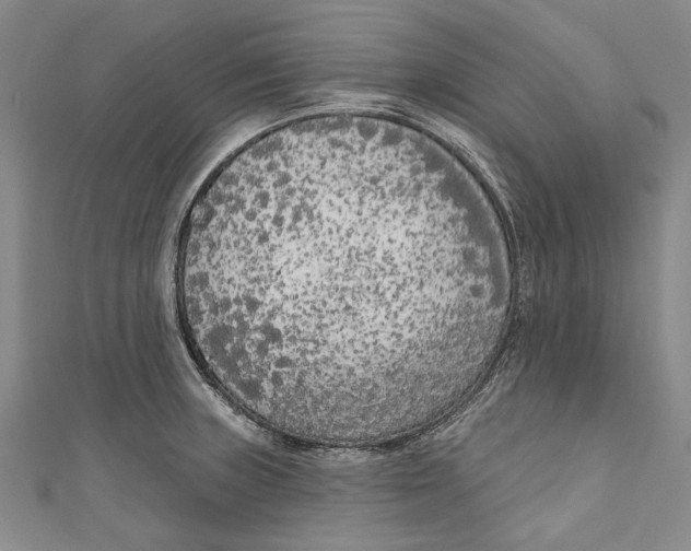 X0000111181235200907221042