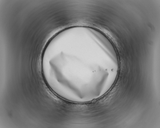 X0000111181238200907221042