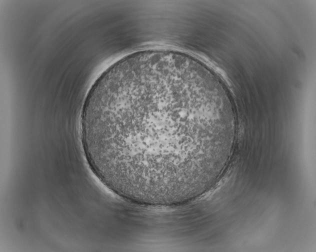 X0000111181239200907221042