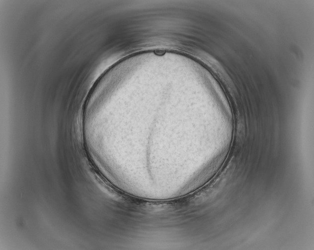 X0000111181242200907221042