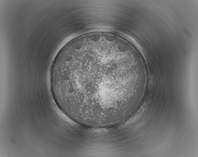 X0000111181243200907221042