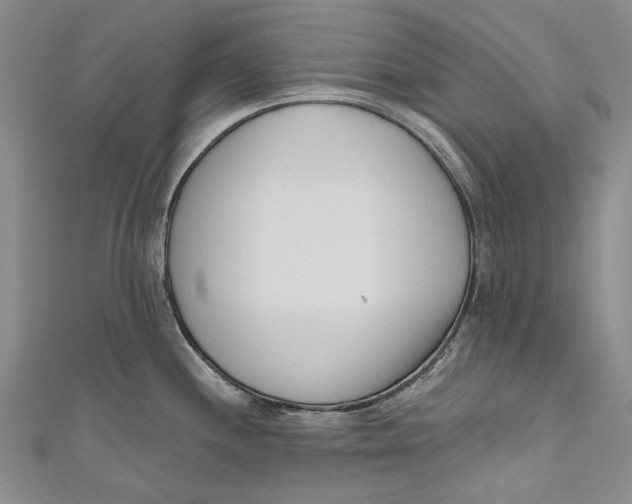 X0000111181244200907221042