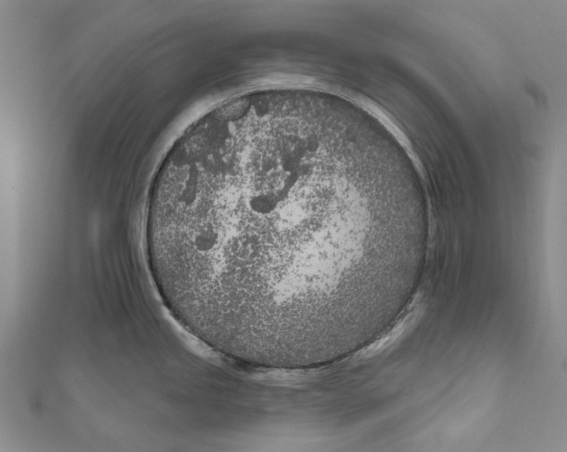 X0000111181245200907221042