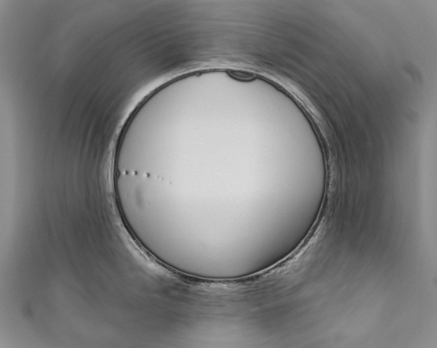 X0000111181246200907221042