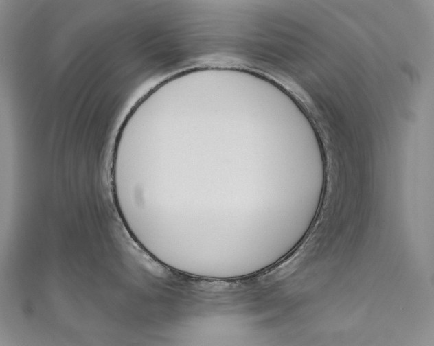 X0000111181248200907221042