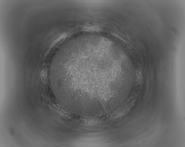 X0000111181254200907221041