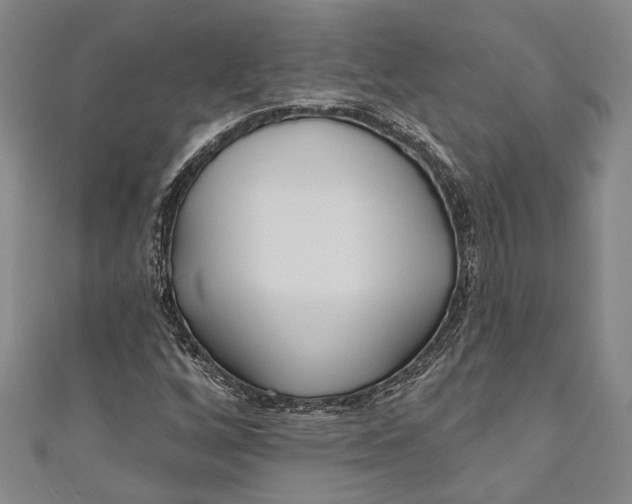 X0000111181256200907221041