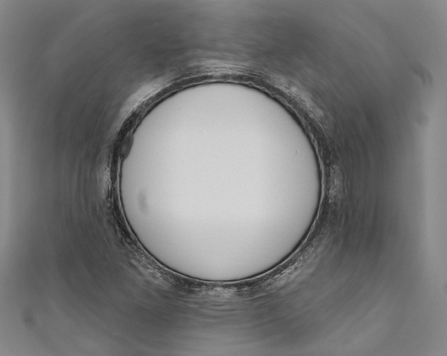 X0000111181261200907221041