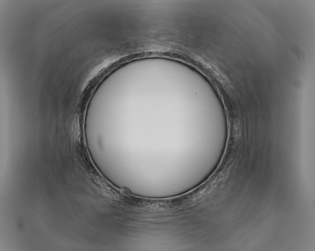 X0000111181262200907221041