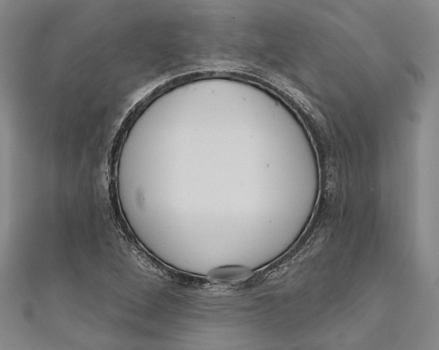 X0000111181264200907221041