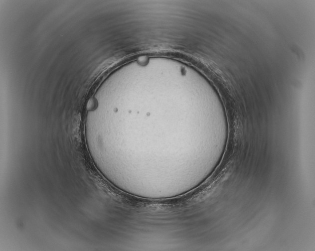 X0000111181265200907221041