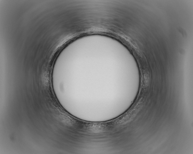 X0000111181266200907221041