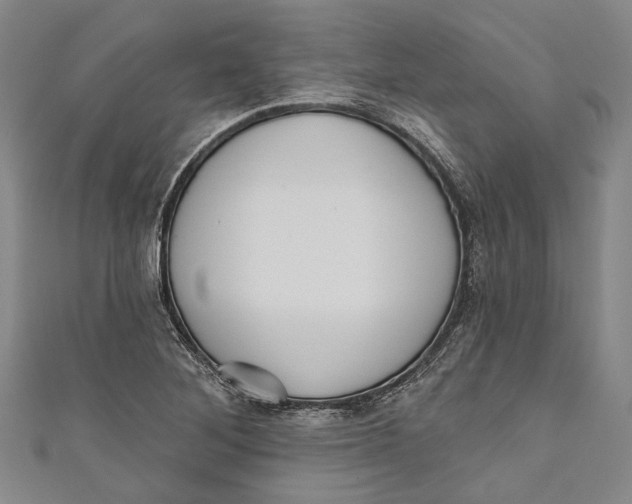 X0000111181268200907221041