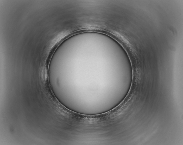 X0000111181269200907221041