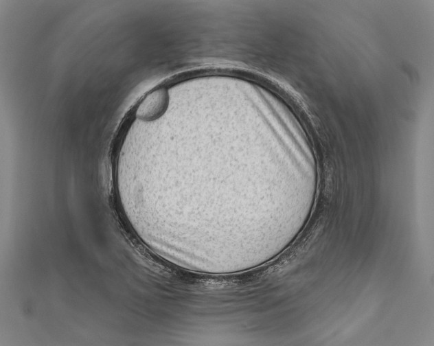 X0000111181271200907221041