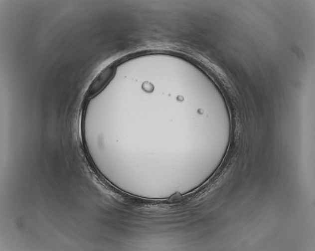 X0000111181272200907221041