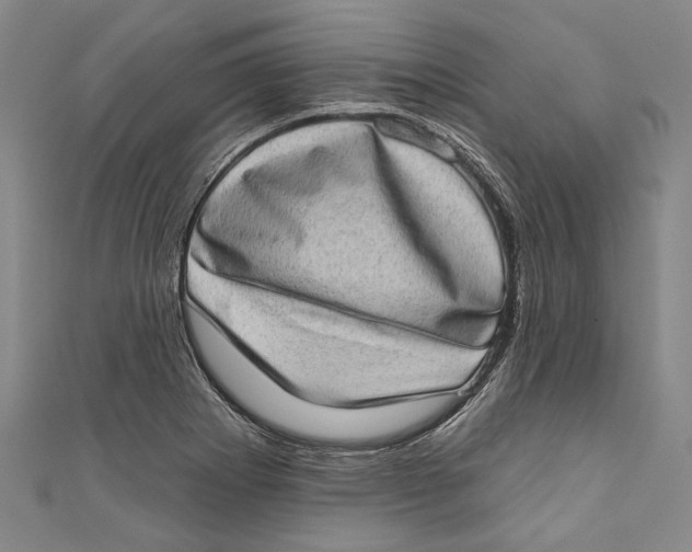 X0000111181273200907221041