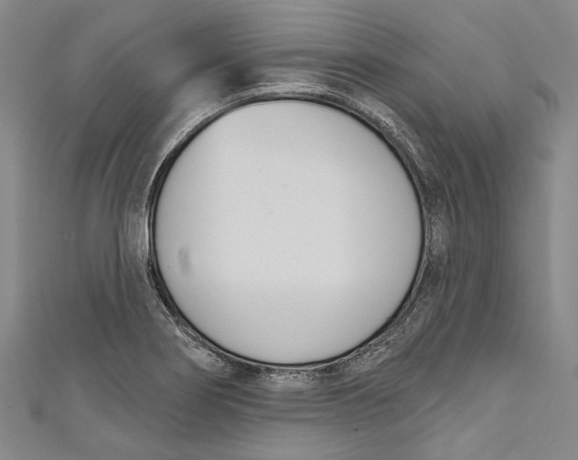 X0000111181274200907221041