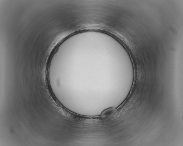 X0000111181277200907221041