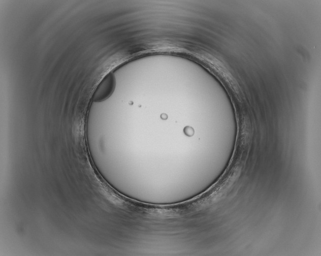 X0000111181281200907221041