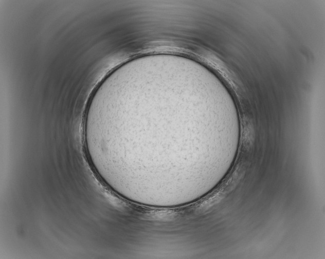 X0000111181282200907221041