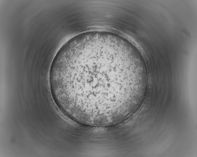 X0000111181283200907221041