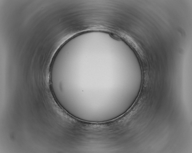 X0000111181284200907221041