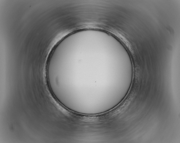 X0000111181285200907221041