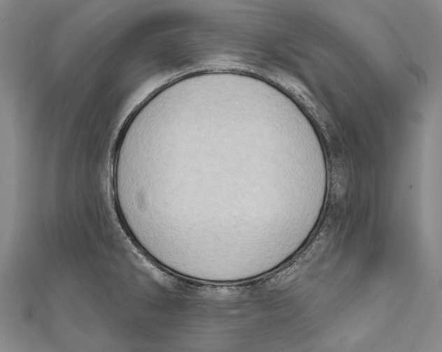 X0000111181286200907221041